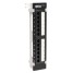 TrippLite 12 Port CAT5e Wallmount Patch Panel